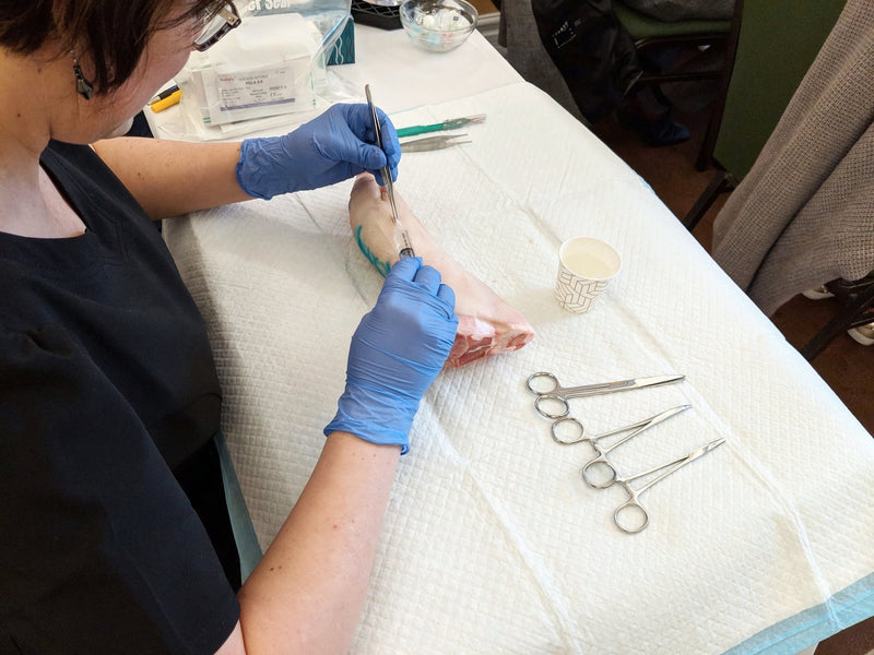 MedicalEd SUTURED demonstration for course participants