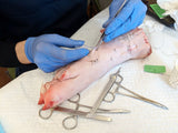 Sutured in Winnipeg, MB (November 19, 2022)